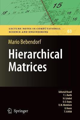 Hierarchical Matrices(English, Paperback, Bebendorf Mario)