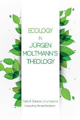 Ecology in Jurgen Moltmann's Theology(English, Paperback, Deane-Drummond Celia E)