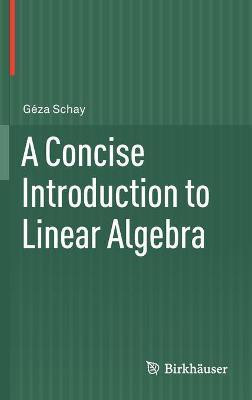 A Concise Introduction to Linear Algebra(English, Hardcover, Schay Geza)