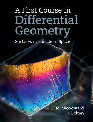 A First Course in Differential Geometry(English, Hardcover, Woodward Lyndon)