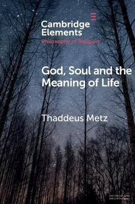 God, Soul and the Meaning of Life(English, Paperback, Metz Thaddeus)