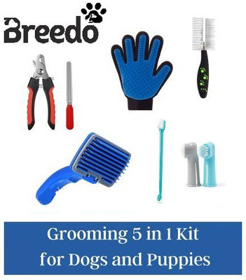 Breedo Combo Of 5 Slicker + Nail Clipper + Comb + Gloves + Teeth Brush Grooming Kit Basic Comb for  Dog & Cat, Dog, Monkey, Rabbit, Hamster