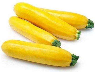 ALPINE HYBRID SEEDS Squash Yellow Vegetable Seed Seed(50 per packet)