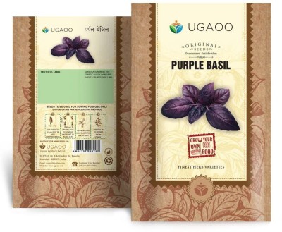 UGAOO Purple Basil Herb Seed(1000 per packet)