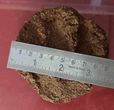 Platone Cow dung cake/Holy Cow Dung Cake for havan Hand Made Desi Gau ke kande 10 picees(1 kg)