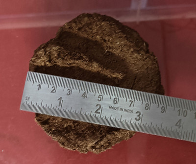 Corofitam Havan Kande/Cow Dung Cake/Uple/Thepdi/8 cm Round Shape - Set of 30(1 kg)