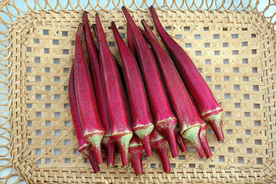 Farmonix Z625_Q_( Lady's Finger, Bamia) Burgundy Red Seed(80 per packet)