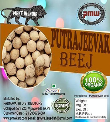 PMW Putrajeevak Seeds - Putra jeevak Beej - Putranjiva Roxburghii - Garbhkar - Garbhbhad - 100 Grams Seed(111 per packet)