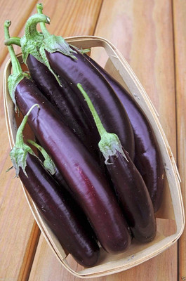 Decon Bengan Seed(750 per packet)