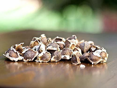CRGO DRUMSTICK , MORINGA Seed(20 per packet)