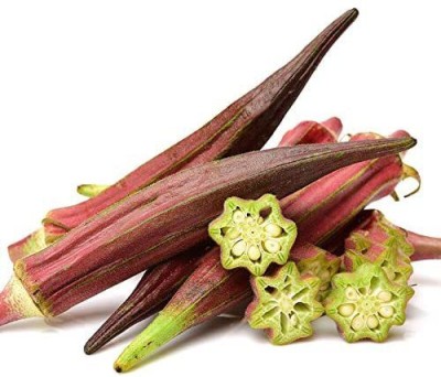 KLARKEE Z2519_V_Okra ( Lady's Finger, Bamia) Burgundy Red Seed(300 per packet)