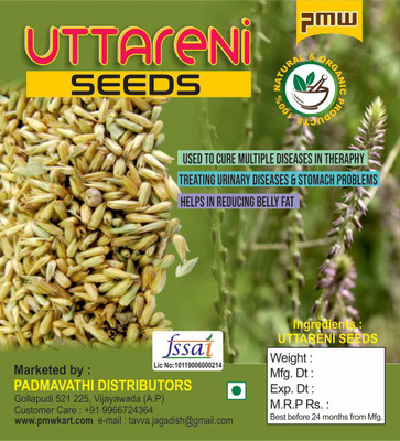 PMW Apang Seeds - Uttareni - Latjira - Onga - Aghata - Chirchra - Seeds - Prickly Chaff Seeds - 100 Grams Seed(100 per packet)