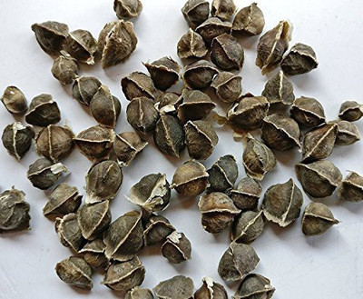 MKR Enterprises Sem Fali Seed(100 per packet)