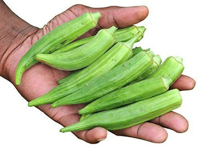 Farmonix Z2903_P_Seeds for Coffee Okra Lady's Finger Bamia Vegetable Seed(500 per packet)