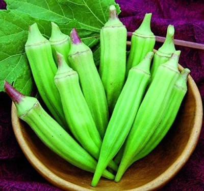 Biosnyg ®VXV-577 Vegetable Okra Louisiana (Ladies Fingers Ochro) Green Seed(100 per packet)