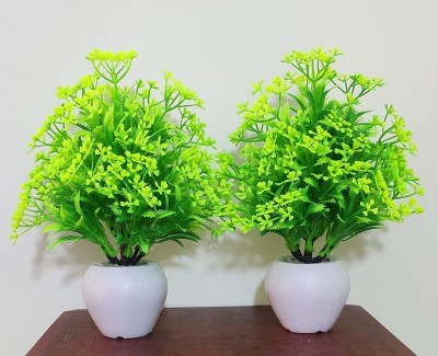 Siddhivinayak Artificial Bonsai Plants Green with Pots (10 cm Width & 16 cm Height) Set of 2 Bonsai Artificial Plant  with Pot(20 cm, Green)