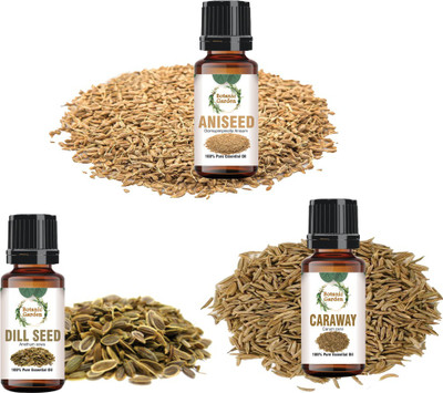 botanic garden Combo of Aniseed,Dil Seed & Caraway Essential oil for Gastric Trouble-10ml each(30 ml)