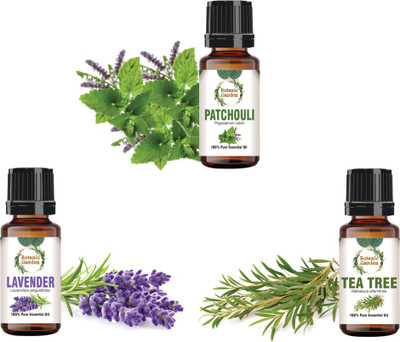 botanic garden Combo of Patchouli,Tea Tree & Lavender Essential Oil for Jock Itch-10ml each(30 ml)