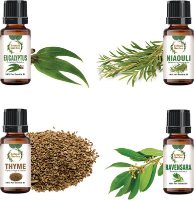 botanic garden Eucalyptus,Niaouli,Thyme,Ravensara Oils for Cold & Flu-10ml each(40 ml)