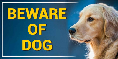 CREATIVE ADVERTISERS BEWARE OF DOG Golden Retriever Emergency Sign