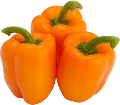 Gromax India Capsicum Orange Seeds Seed(40 per packet)