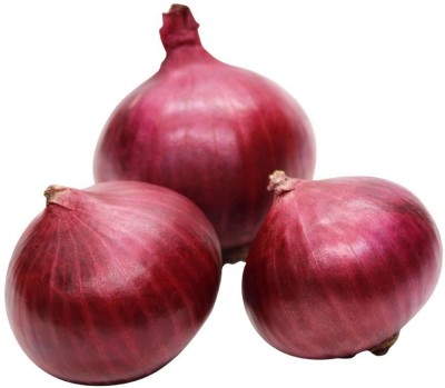 Gromax India Onion N-53 Seeds Seed(40 per packet)