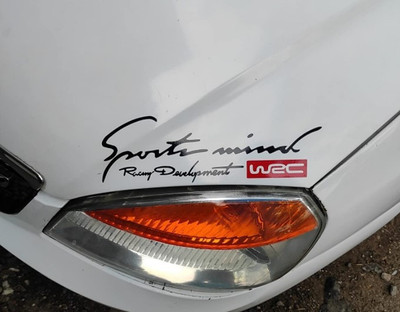 AVSARACHNA Sticker & Decal for Car(Black, Red)