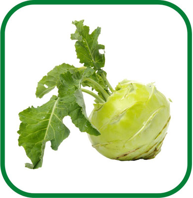WILLVINE PUSA -XII Knol Khol F1 Hybrid Vegetable [25g] Seed(7500 per packet)
