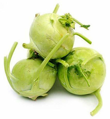 WILLVINE VMR -V German (Knol Khol) [10g] Seed(3000 per packet)