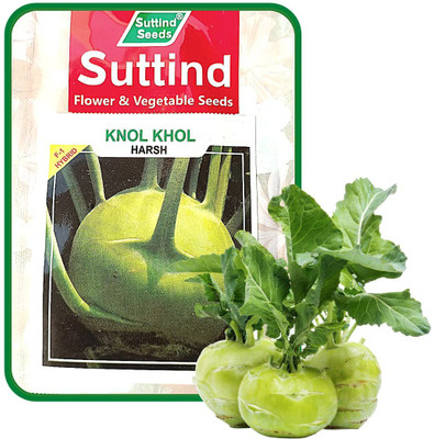 MKR Enterprises Ganth Gobhi Seed(100 per packet)