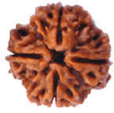 Durga gems Wood