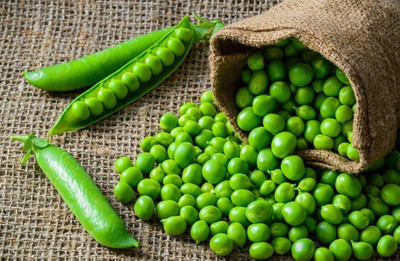 VibeX ® RXI-628 Sugar Pea 45 Days Snap Vine Seed(50 per packet)