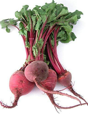 MKR Enterprises Beetroot Seed(1000 per packet)