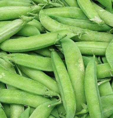 VibeX VVI-72 - Garden Pea - (100 Seeds) Seed(100 per packet)