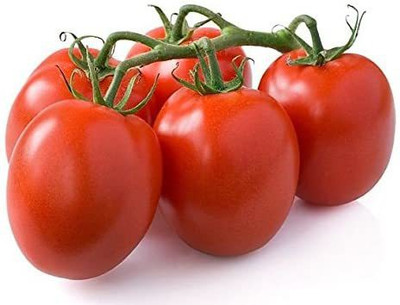 MKR Enterprises Tomato Seed(950 per packet)