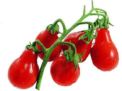 MKR Enterprises Tomato Seed(850 per packet)