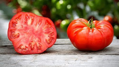 MKR Enterprises Tomato Seed(950 per packet)