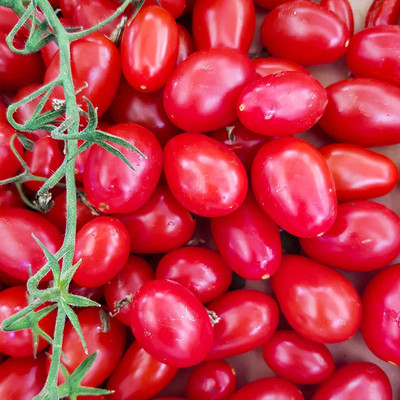 MKR Enterprises Tomato Seed(450 per packet)