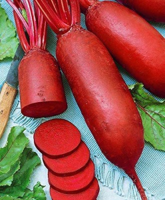 MKR Enterprises Beetroot Seed(400 per packet)