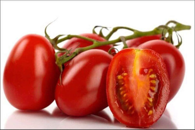 WILLVINE F1 Hybrid Tomato Seeds For Planting [2.5g, 750 Seeds] Seed(750 per packet)