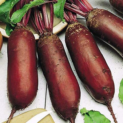 MKR Enterprises Beetroot Seed(650 per packet)