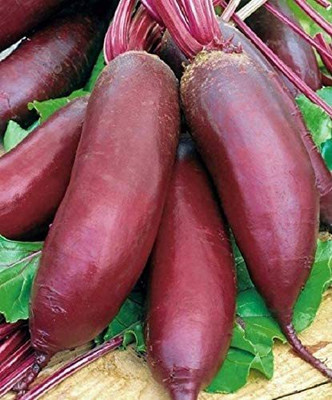 MKR Enterprises Beetroot Seed(550 per packet)