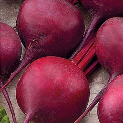 MKR Enterprises Beetroot Seed(250 per packet)
