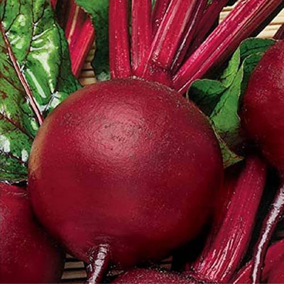 MKR Enterprises Beetroot Seed(1000 per packet)