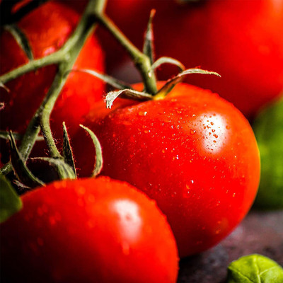 MKR Enterprises Tamatar Seed(300 per packet)