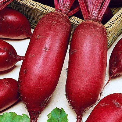 MKR Enterprises Beetroot Seed(600 per packet)