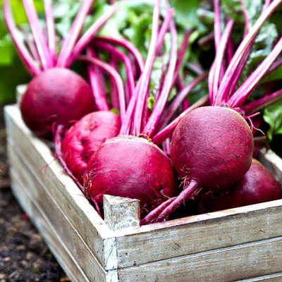 MKR Enterprises Beetroot Seed(450 per packet)
