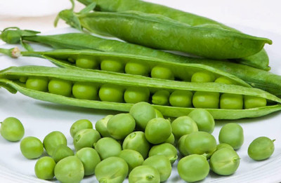 CYBEXIS HUA-48 - Cascadia Pea - (100 Seeds) Seed(100 per packet)