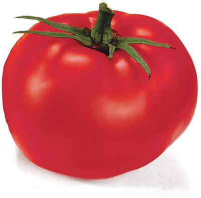 MKR Enterprises Tomato Seed(650 per packet)