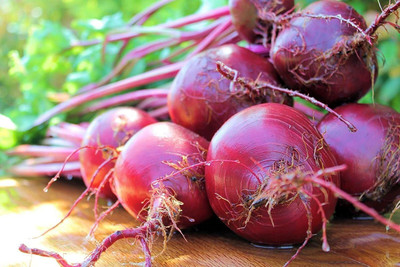 MKR Enterprises Beetroot Seed(550 per packet)